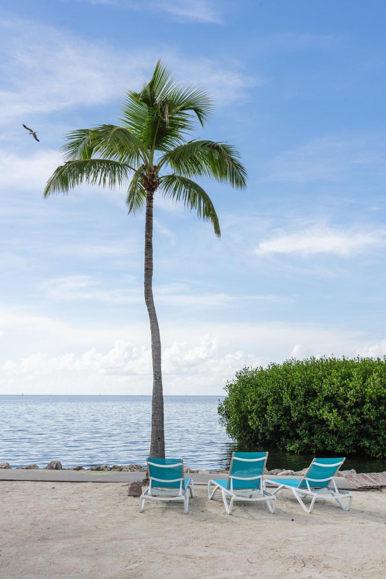 Fisher Inn Resort & Marina Islamorada Luaran gambar
